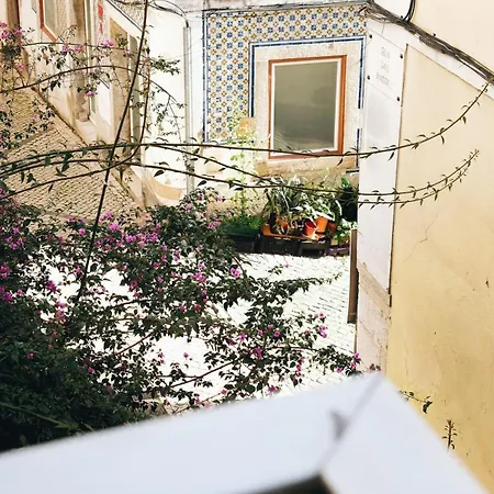 Apartamento New - Swallow's Garden *