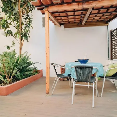 New - Swallow's Garden 리스본