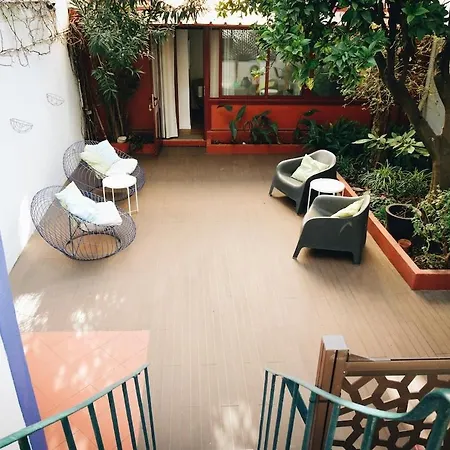 New - Swallow's Garden