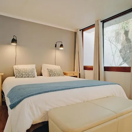 New - Swallow's Garden * Lisboa