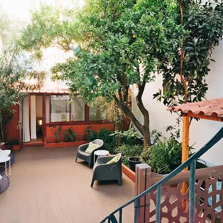 New - Swallow's Garden *